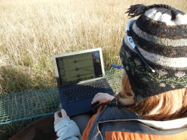 Emily Wolin working with sensors in the field.